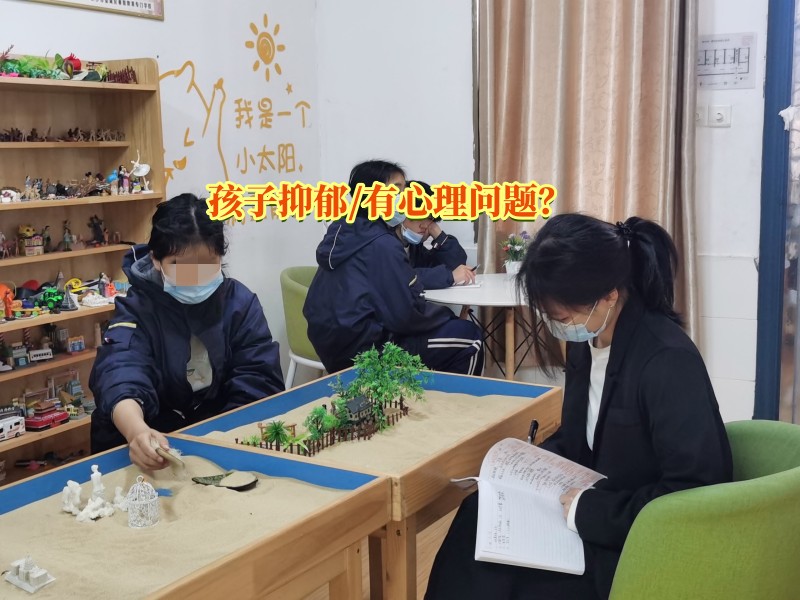 心理輔導(dǎo)學(xué)校,抑郁癥治療學(xué)校