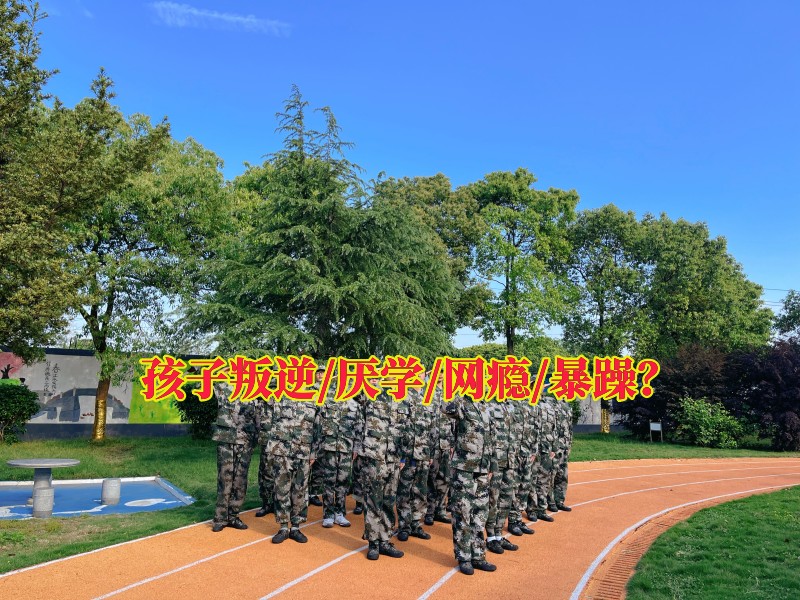 戒網癮學校,戒除網癮