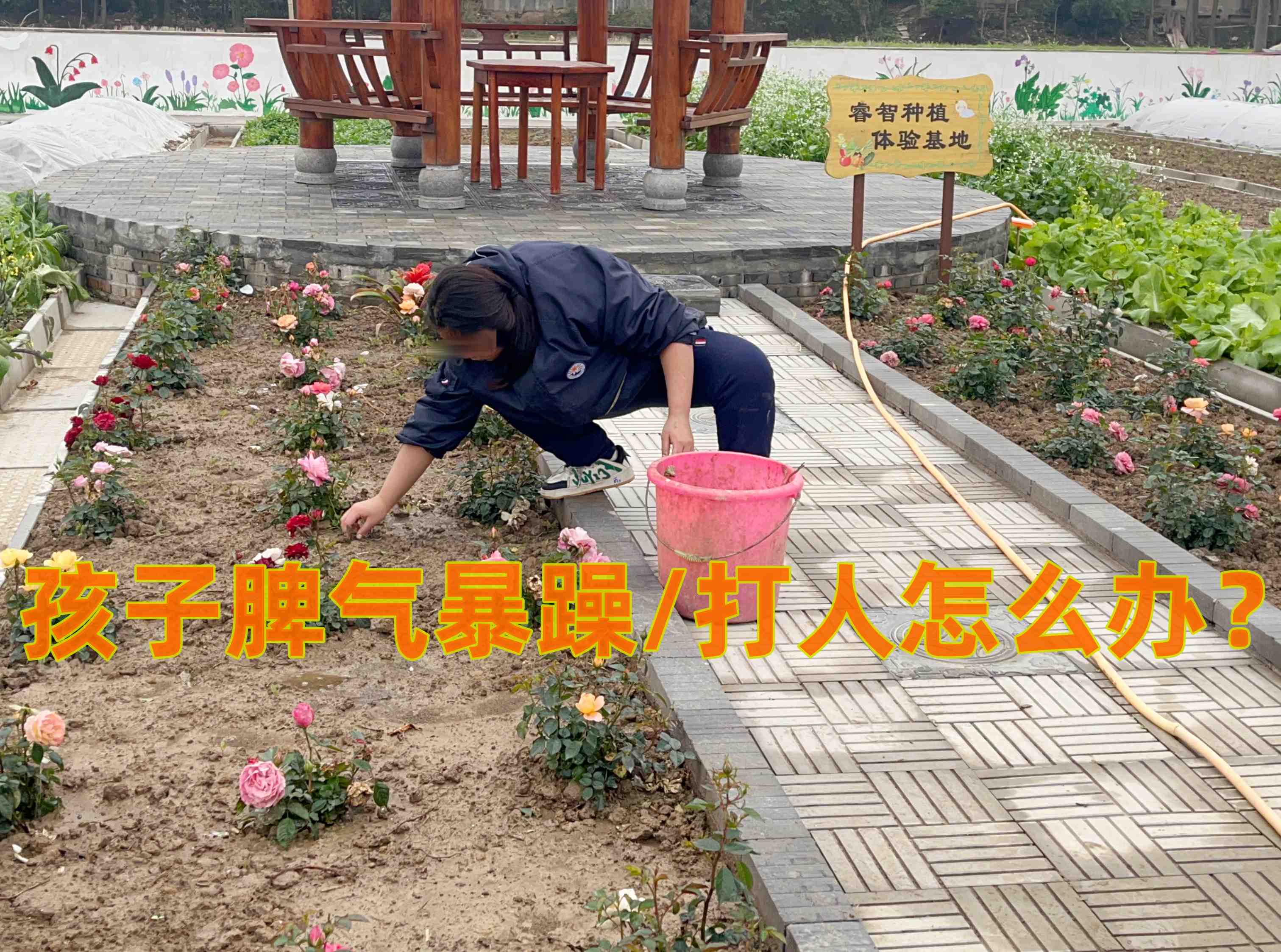心理輔導(dǎo)學(xué)校,青少年教育學(xué)校