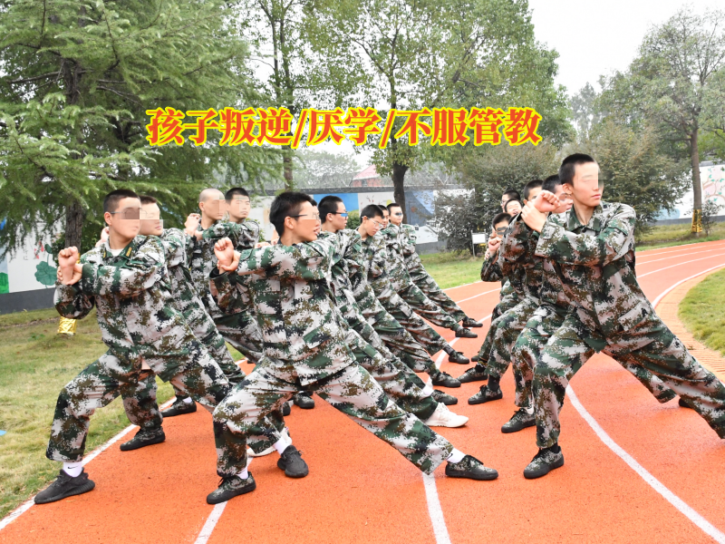 叛逆、厭學(xué)、不服管教.png