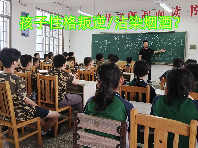 封閉式軍事化學校,軍事訓練學校