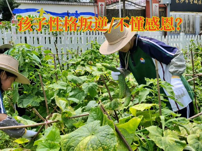 素質教育學校,湖南正規叛逆學校