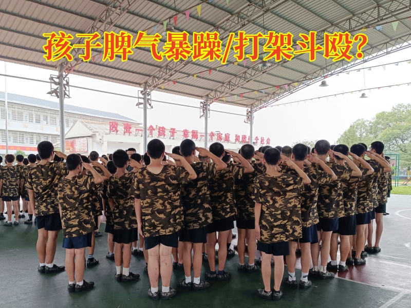 行為矯正學(xué)校,正規(guī)的青少年矯正學(xué)校