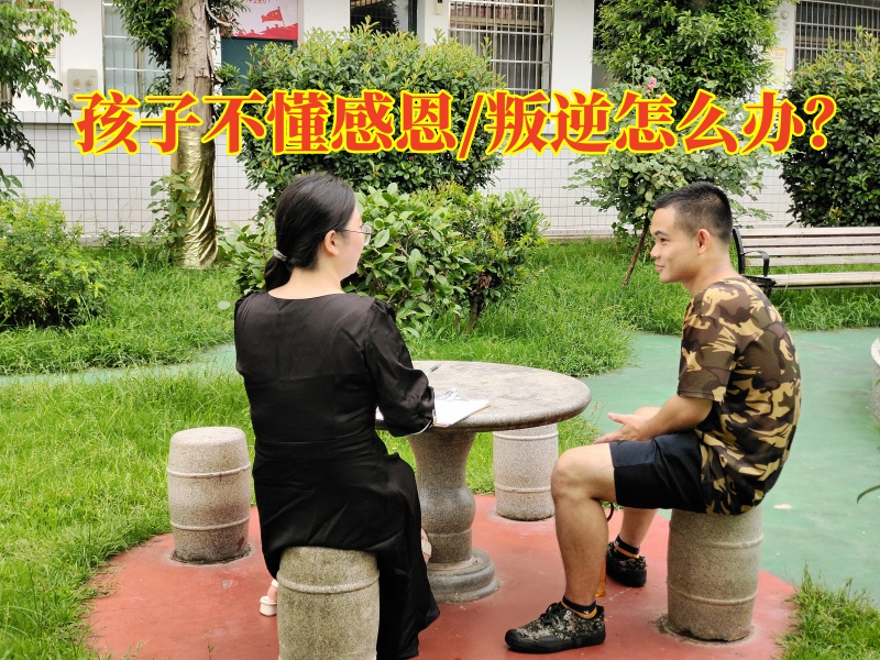 感恩教育學(xué)校,青少年教育學(xué)校