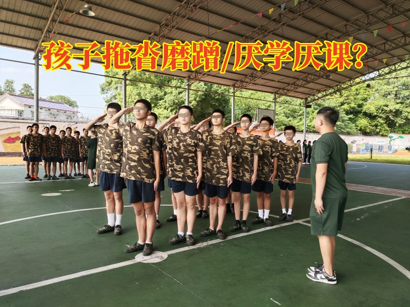 封閉式軍事化學(xué)校,軍事訓(xùn)練學(xué)校