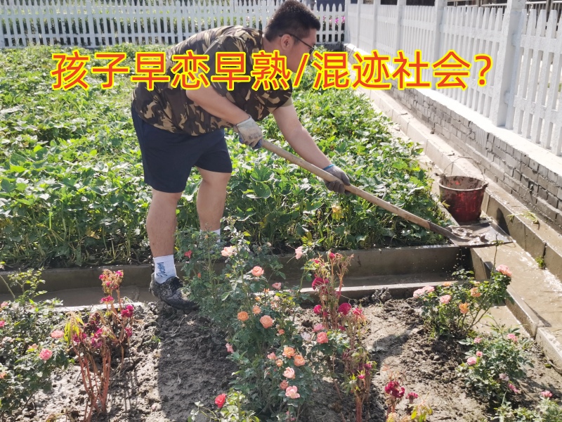 早戀教育學(xué)校,孩子早戀教育學(xué)校