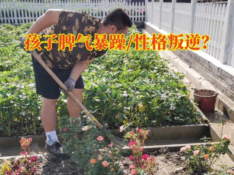 叛逆少年教育,叛逆教育學校
