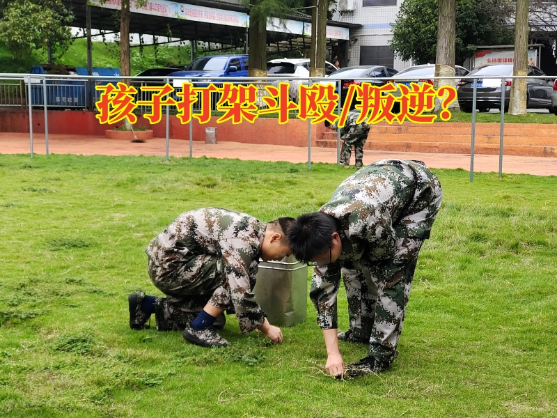 叛逆孩子學校,叛逆教育學校