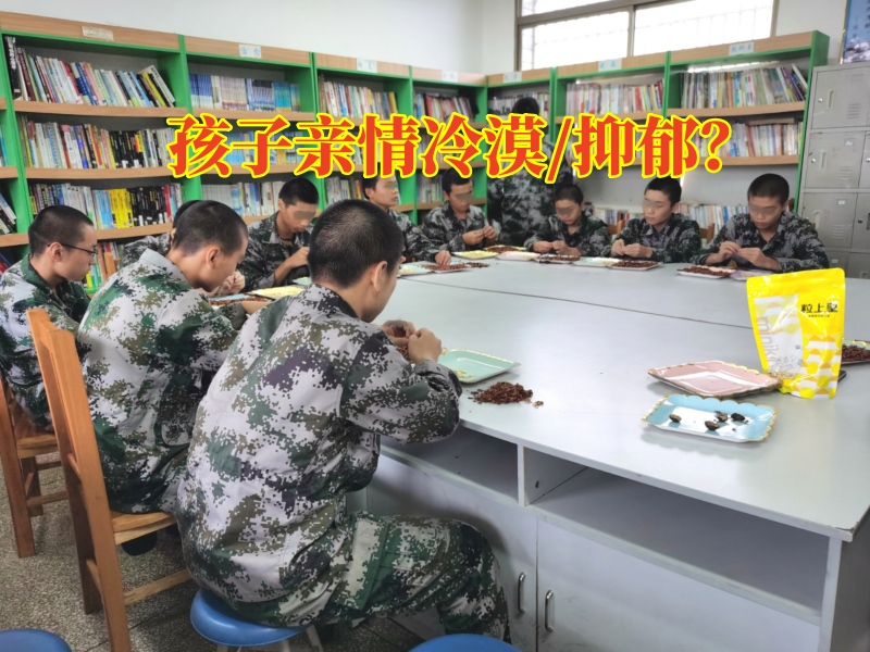 問題青少年教育學(xué)校,問題孩子學(xué)校