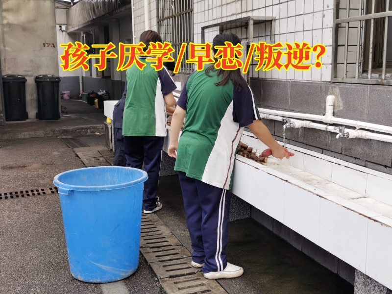 厭學(xué)孩子學(xué)校,厭學(xué)孩子矯正學(xué)校