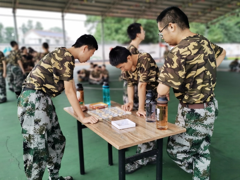 行為矯正學校,正規的青少年矯正學校
