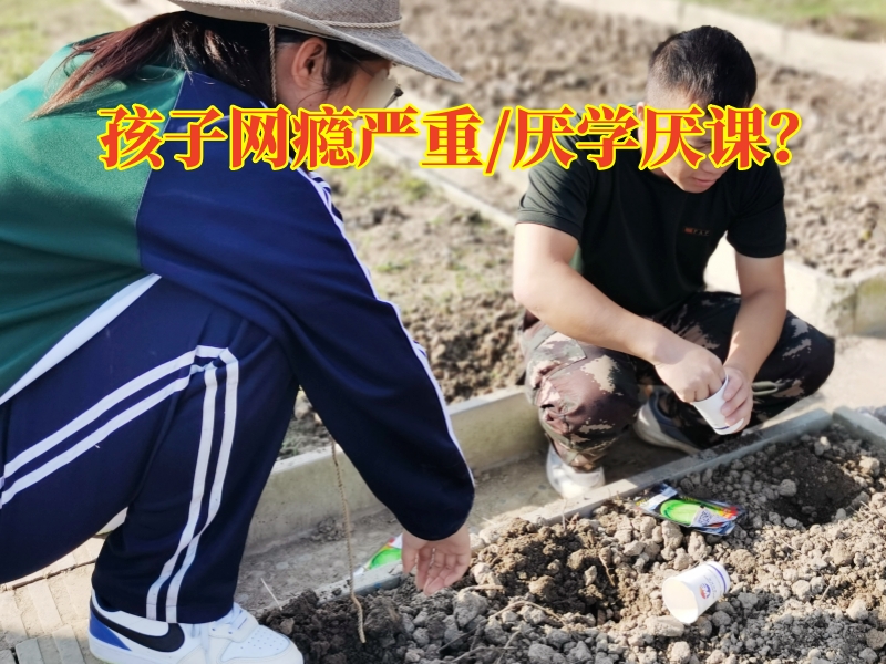 戒網(wǎng)癮學(xué)校,戒網(wǎng)癮教育學(xué)校