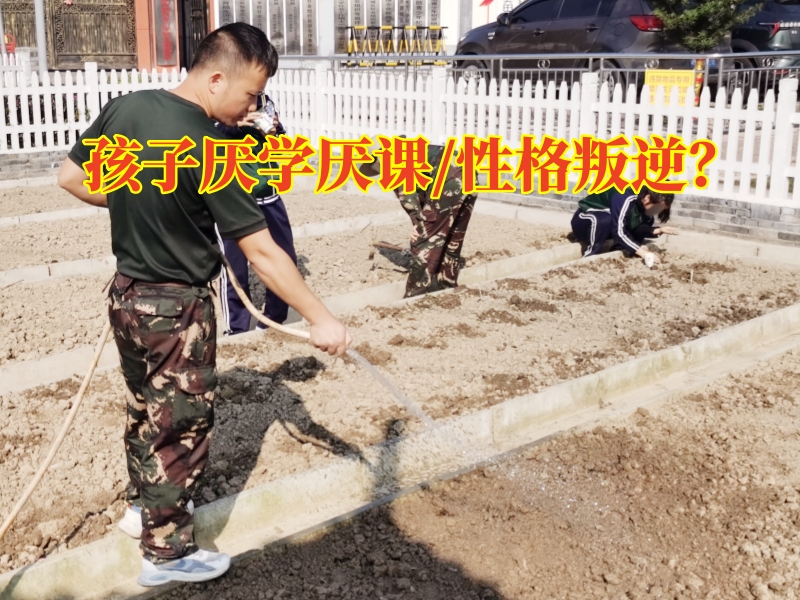 厭學(xué)孩子學(xué)校,厭學(xué)孩子矯正學(xué)校