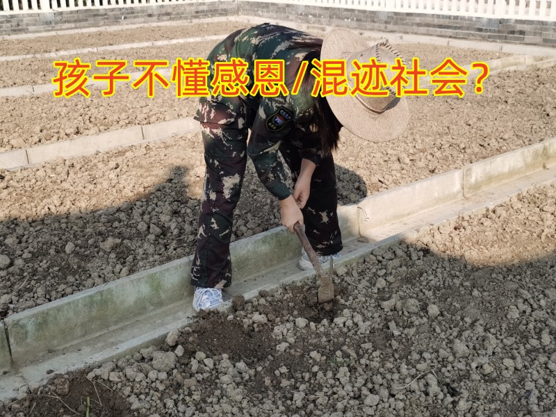 感恩教育學(xué)校,青少年教育學(xué)校
