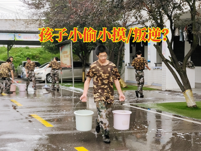 封閉式軍事化學(xué)校,軍事訓(xùn)練學(xué)校