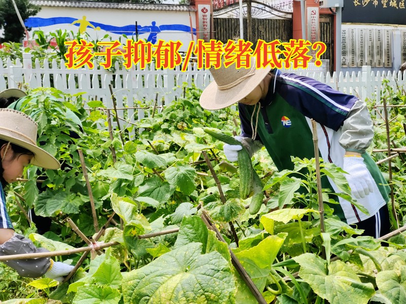 青少年心理特訓(xùn)學校教家長這樣開導(dǎo)情緒低落的孩子