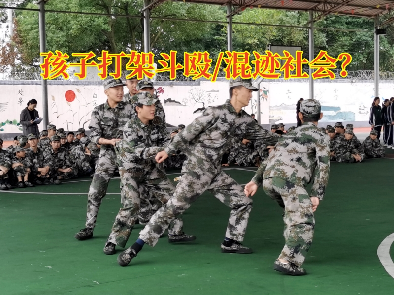 湖南叛逆特訓學校：小學孩子打架家長該怎么教育？