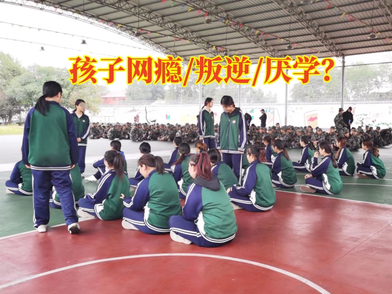 勵(lì)志戒網(wǎng)癮學(xué)校分析孩子迷戀手機(jī)的影響