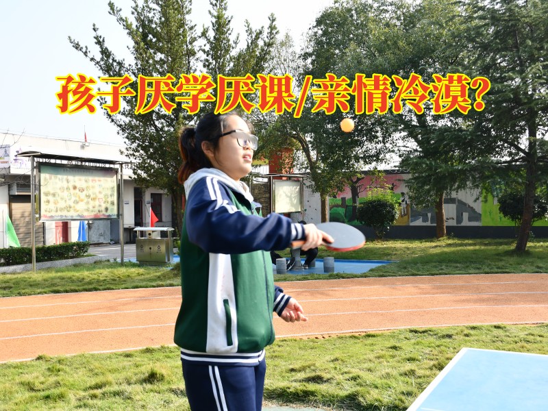 厭學孩子特訓機構分析孩子厭學的后果