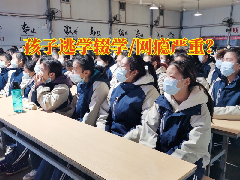 正規(guī)厭學(xué)孩子改變學(xué)校分析孩子輟學(xué)的危害