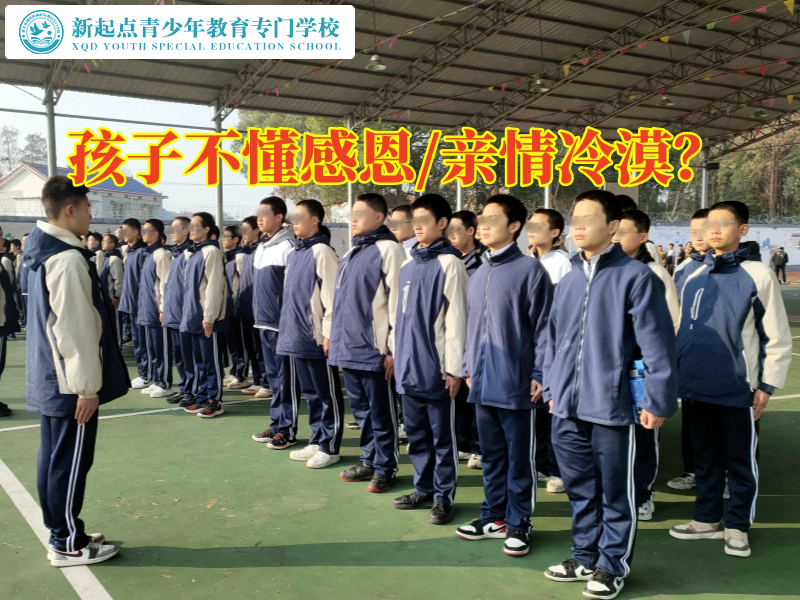 益陽成長教育學校建議這樣培養(yǎng)孩子感恩意識