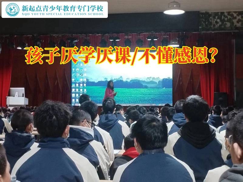 青少年全封閉學校建議這樣教育學習態度差的初中孩子