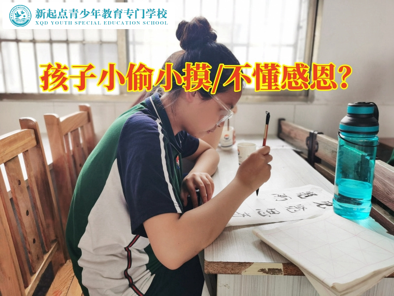 青少年叛逆正規(guī)全封閉機(jī)構(gòu)對孩子偷東西的建議