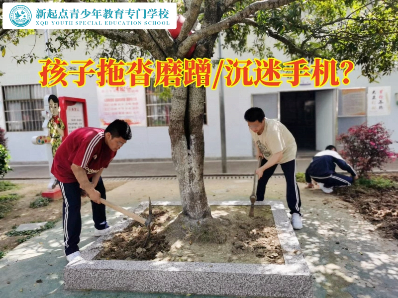 正規(guī)少年特訓(xùn)學(xué)校教您這樣教育吃飯拖拉的孩子