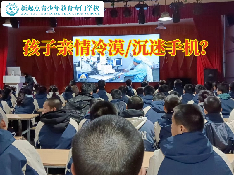 叛逆小孩全封閉學(xué)校分析親子關(guān)系冷漠的危害