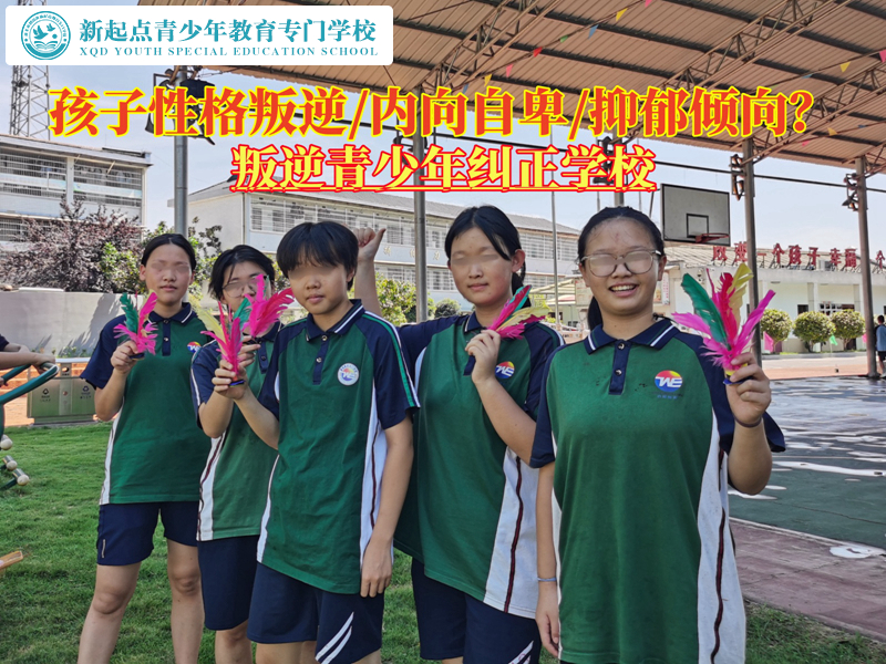 叛逆青少年糾正學(xué)校引導(dǎo)孩子調(diào)整情緒
