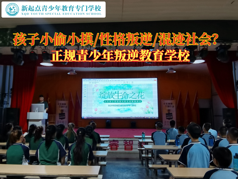 正規(guī)青少年叛逆教育學(xué)校管教調(diào)皮偷東西的孩子