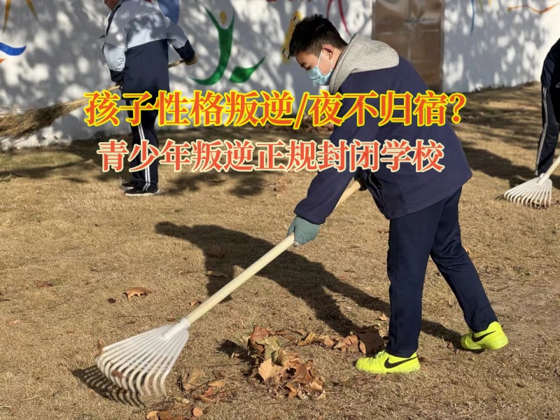 青少年叛逆正規(guī)封閉學(xué)校對孩子夜不歸宿的建議