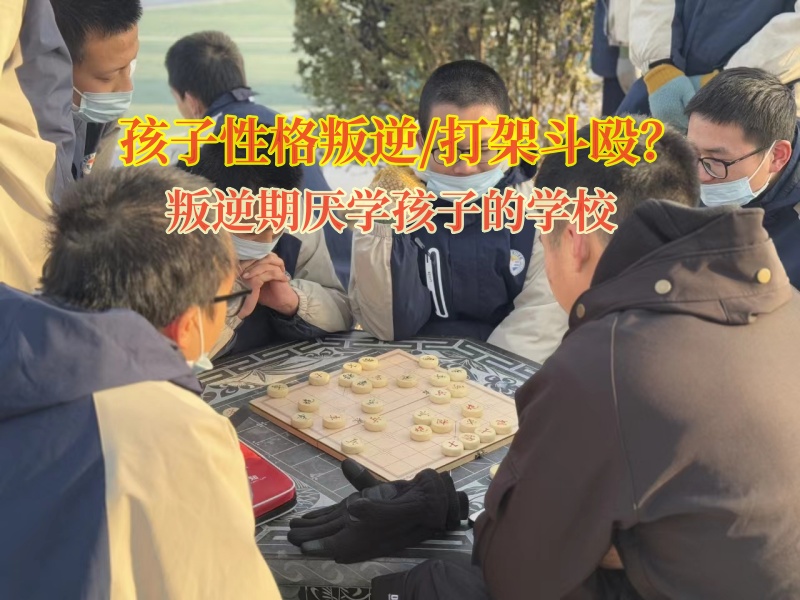 叛逆期厭學(xué)孩子的學(xué)校解決青少年總打架問(wèn)題