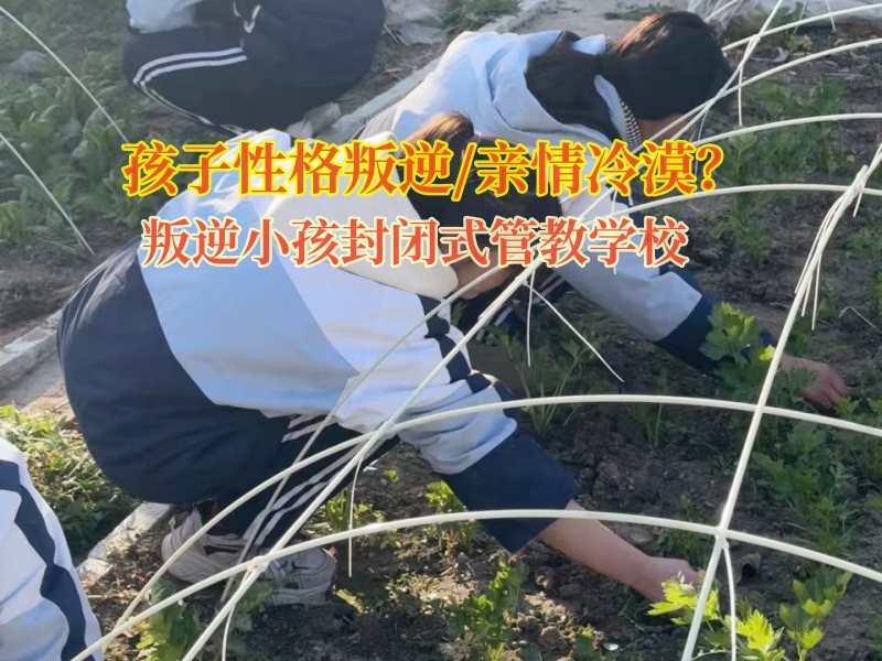 全封閉式管教學(xué)校改變混社會(huì)的青少年