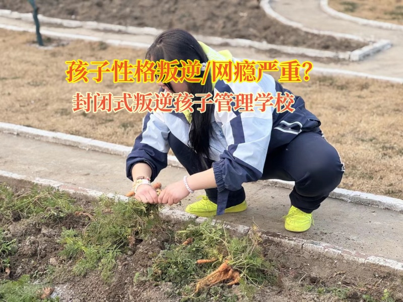 封閉式叛逆孩子管理學(xué)校糾正孩子偷盜惡習(xí)