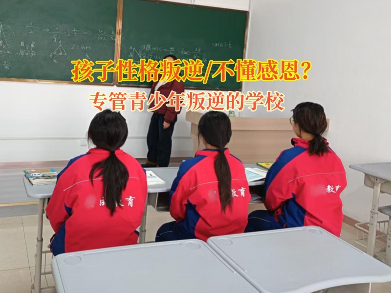 專管青少年叛逆的學校點燃孩子內心的感恩火花