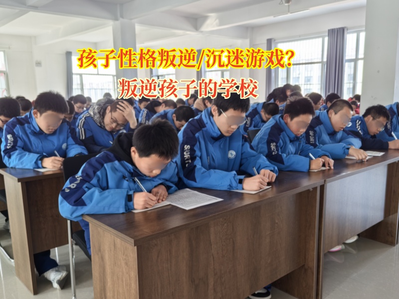 叛逆孩子的學(xué)校讓青少年不再沉迷游戲