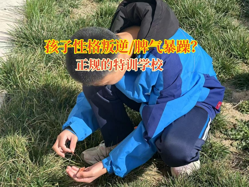 正規的特訓學校解鎖孩子脾氣暴的“金鑰匙”