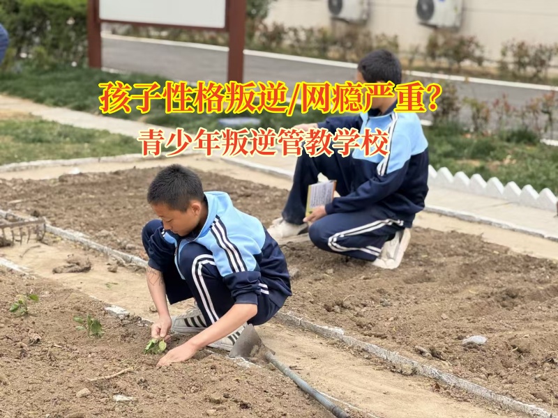 青少年叛逆管教學(xué)校矯正孩子沉迷網(wǎng)絡(luò)小說
