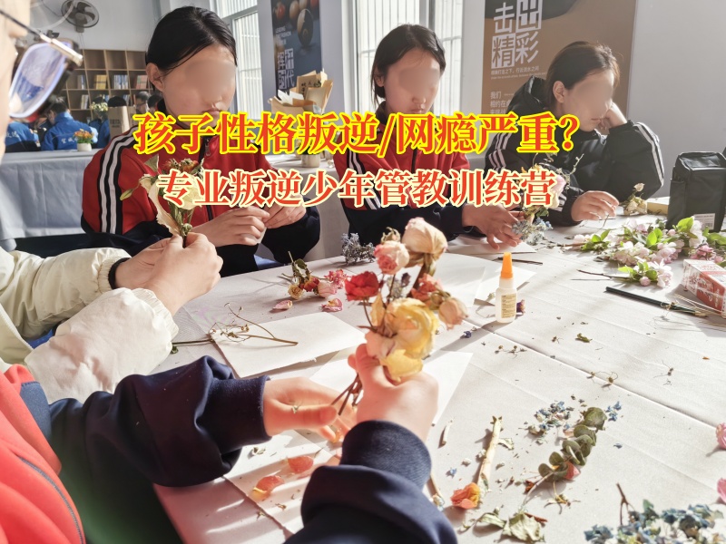 專業叛逆少年管教訓練營解決孩子對父母大喊大叫