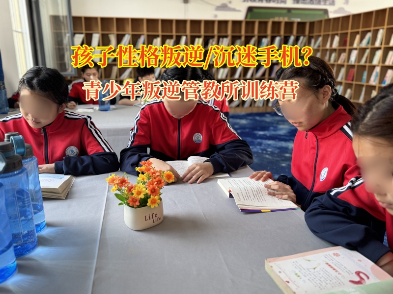 青少年叛逆管教所訓(xùn)練營應(yīng)對孩子通宵玩手機(jī)的科學(xué)之策