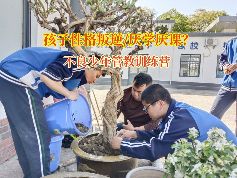不良少年管教訓(xùn)練營(yíng)助力青少年重拾學(xué)習(xí)熱情